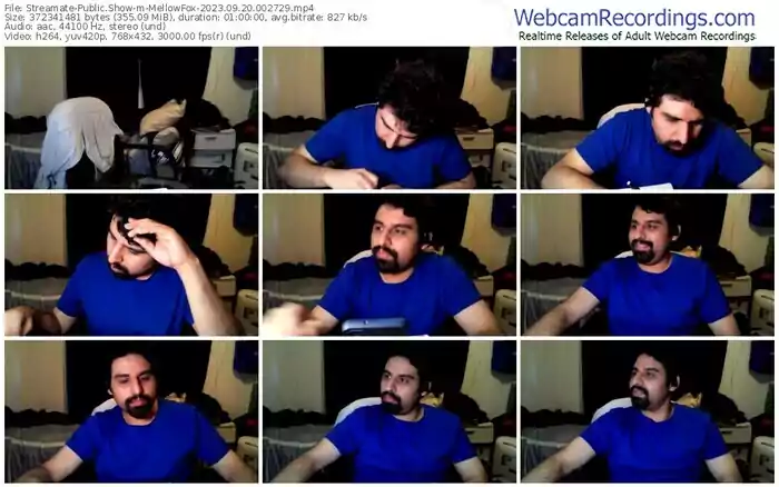 streamate-mellowfox-09-20-2023-00-27-29