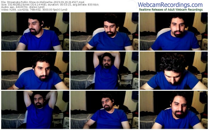 streamate-mellowfox-09-20-2023-01-45-27