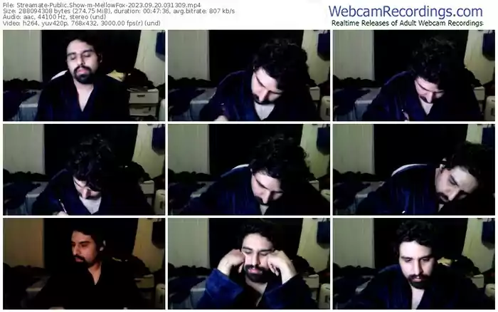 streamate-mellowfox-09-20-2023-03-13-09