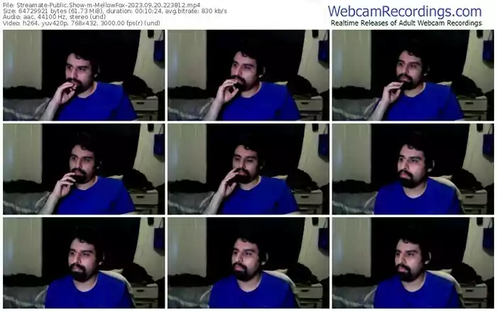 streamate-mellowfox-09-20-2023-22-38-12