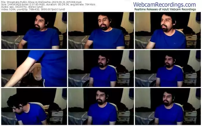 streamate-mellowfox-09-21-2023-00-53-08