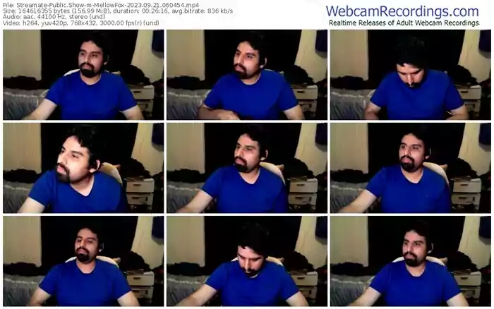 streamate-mellowfox-09-21-2023-06-04-54