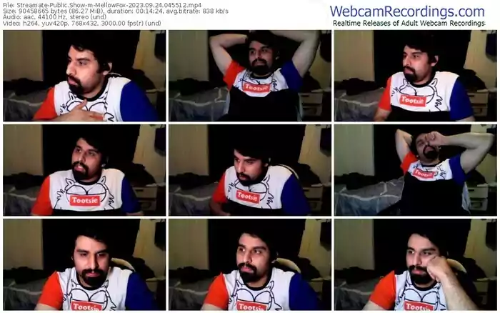 streamate-mellowfox-09-24-2023-04-55-12