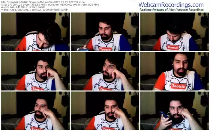 streamate-mellowfox-09-25-2023-02-28-31