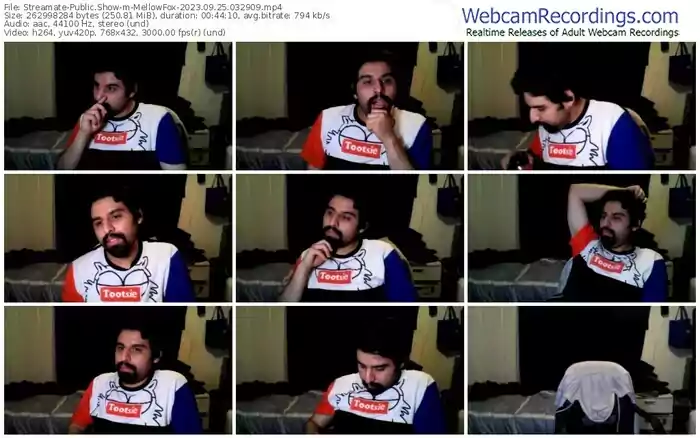 streamate-mellowfox-09-25-2023-03-29-09