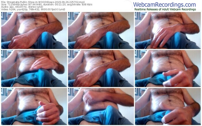 streamate-woodiesays-09-26-2023-22-57-02
