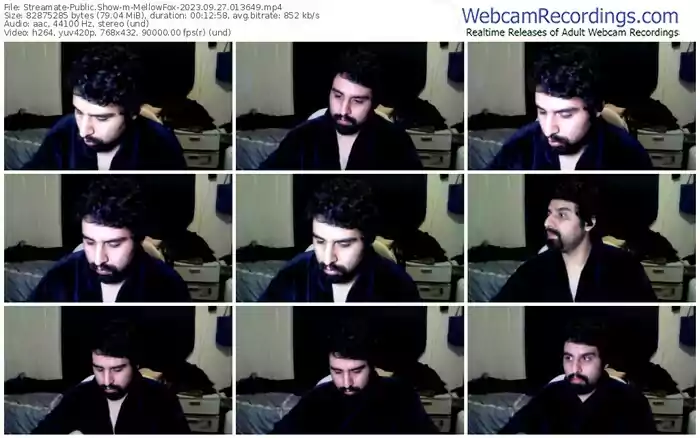 streamate-mellowfox-09-27-2023-01-36-49