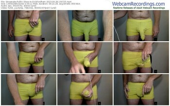 streamate-dickfordham-09-28-2023-13-07-25