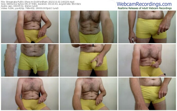 streamate-dickfordham-10-02-2023-14-02-29