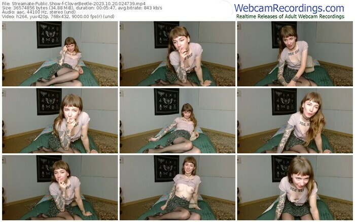 streamate-cloverbeetle-10-20-2023-02-47-39