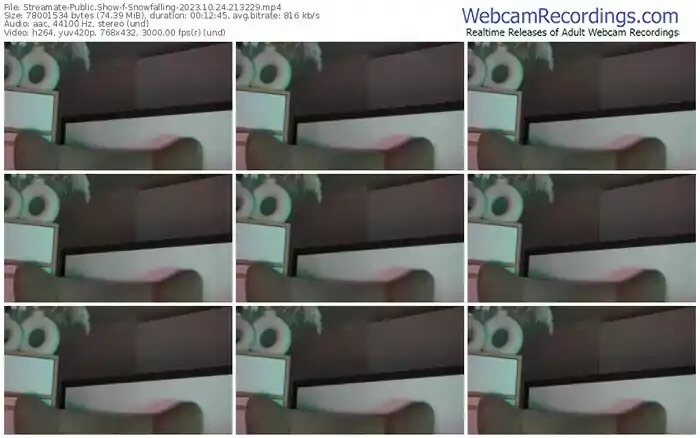 streamate-snowfalling-10-24-2023-21-32-29