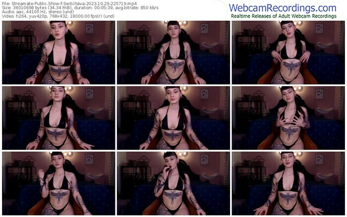 streamate-switchava-10-29-2023-22-57-19
