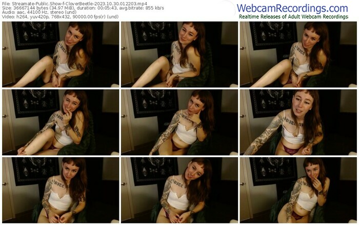 streamate-cloverbeetle-10-30-2023-01-22-03