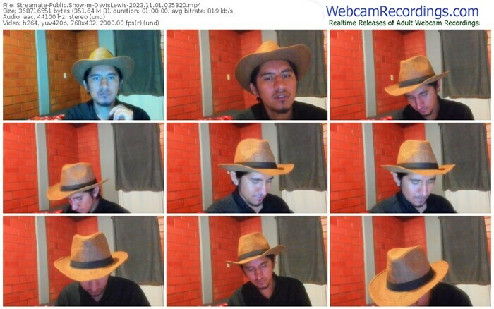 streamate-davislewis-11-01-2023-02-53-20