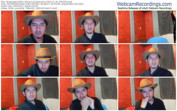 streamate-davislewis-11-01-2023-03-53-52