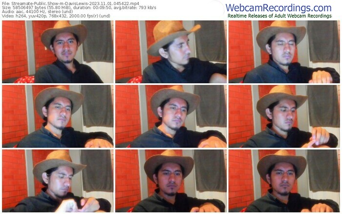 streamate-davislewis-11-01-2023-04-54-22