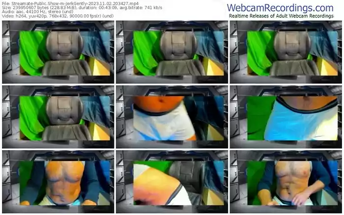 streamate-jerkgently-11-02-2023-20-34-27