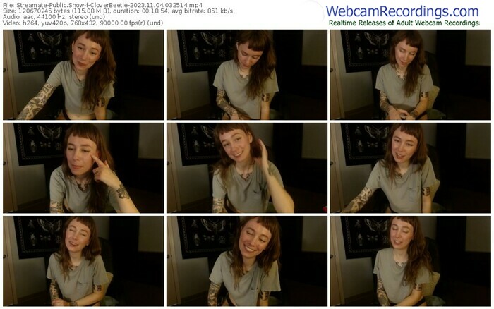 streamate-cloverbeetle-11-04-2023-03-25-14