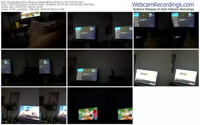 streamate-jakesnake14-11-04-2023-00-31-26