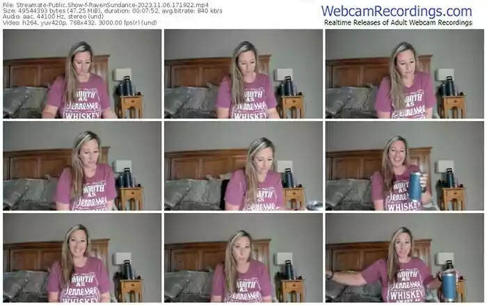 streamate-ravensundance-11-06-2023-17-19-22