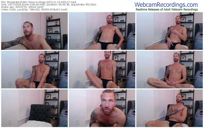 streamate-wags-11-10-2023-03-31-17