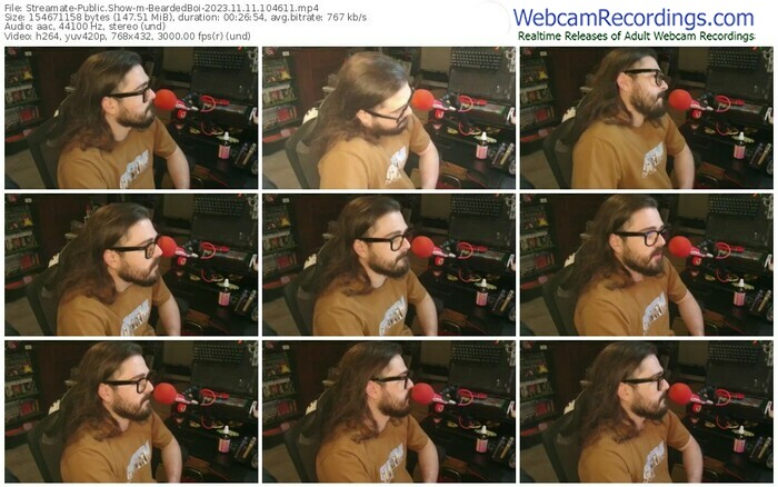 streamate-beardedboi-11-11-2023-10-46-11