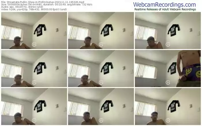 streamate-profitcloutup-11-11-2023-19-53-26