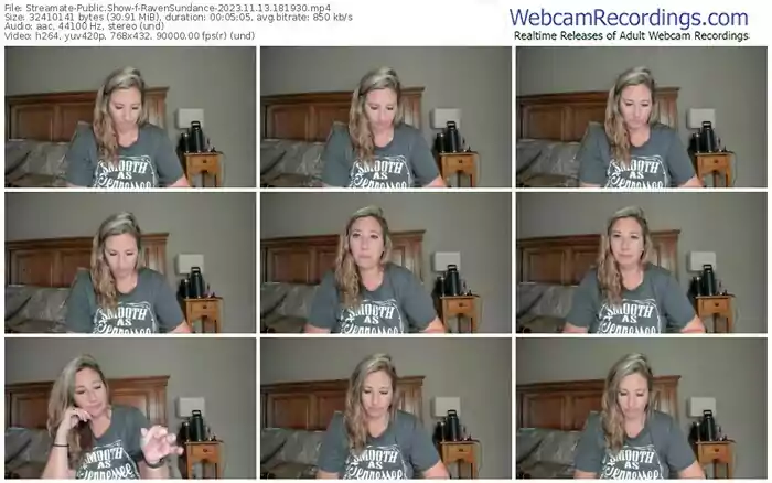 streamate-ravensundance-11-13-2023-18-19-30