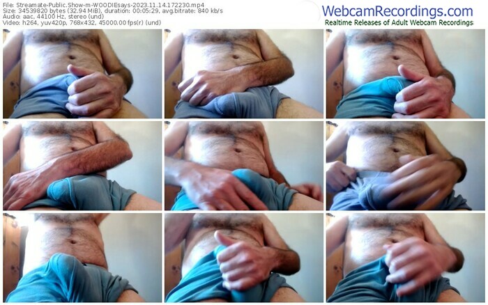streamate-woodiesays-11-14-2023-17-22-30