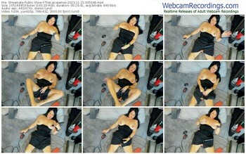 streamate-thelaciejames-11-15-2023-00-50-48