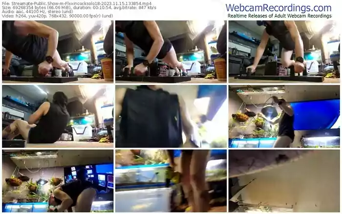 streamate-flxxincocksolo18-11-15-2023-13-38-54