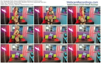 streamate-littlefeemboy-11-16-2023-23-27-12