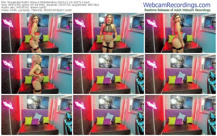streamate-littlefeemboy-11-16-2023-23-27-12