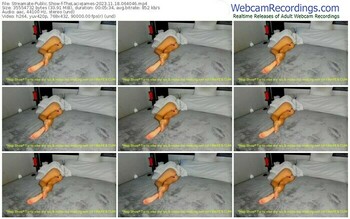 streamate-thelaciejames-11-18-2023-06-40-46