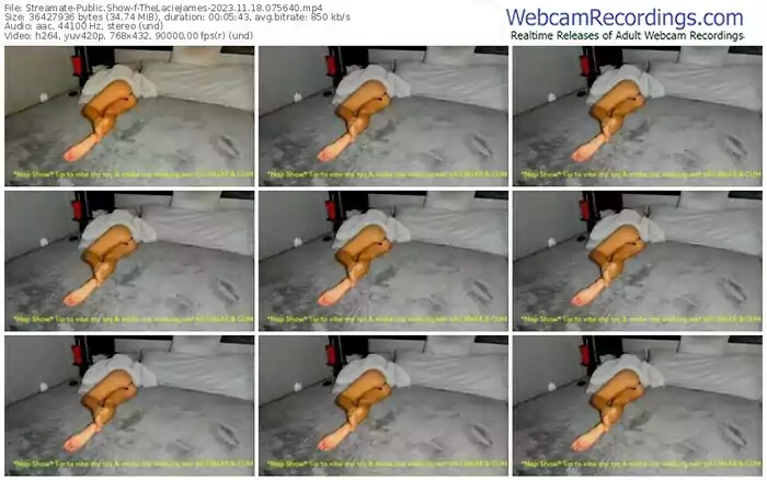 streamate-thelaciejames-11-18-2023-07-56-40