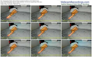 streamate-thelaciejames-11-18-2023-13-52-07