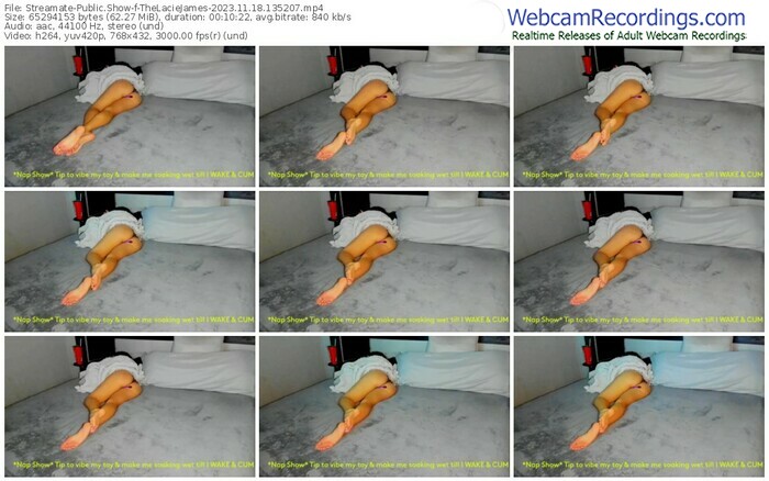 streamate-thelaciejames-11-18-2023-13-52-07