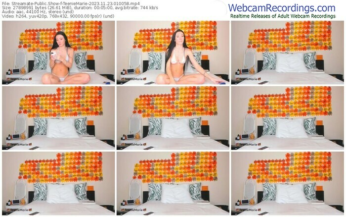 streamate-teeniemarie-11-23-2023-01-00-58