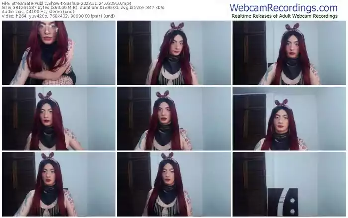 streamate-sashua-11-24-2023-03-29-10