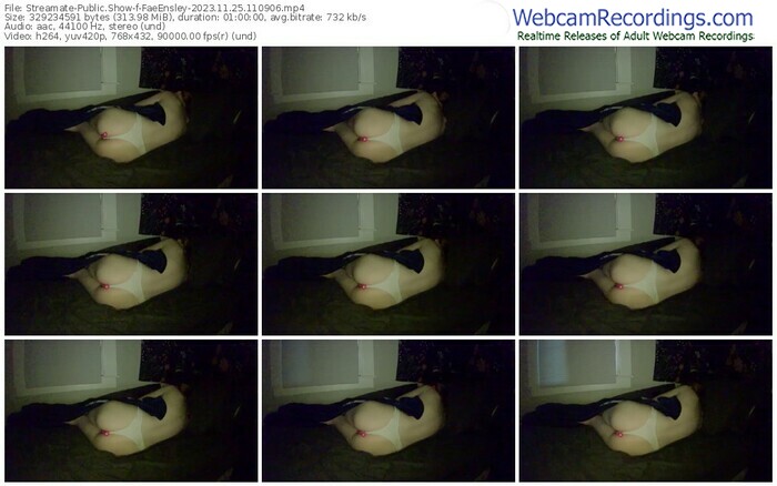 streamate-faeensley-11-25-2023-11-09-06