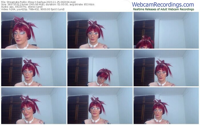 streamate-sashua-11-25-2023-06-20-34