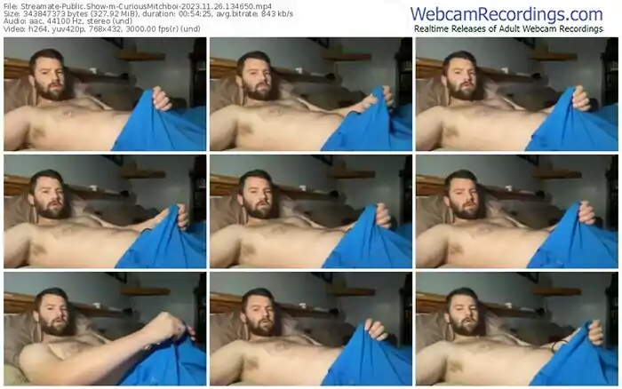 streamate-curiousmitchboi-11-26-2023-13-46-50
