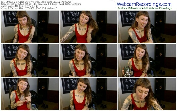 streamate-cloverbeetle-11-27-2023-21-40-08