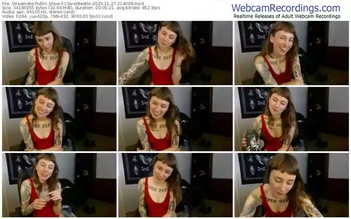streamate-cloverbeetle-11-27-2023-21-40-08