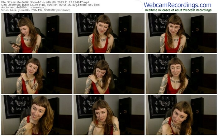 streamate-cloverbeetle-11-27-2023-23-42-47