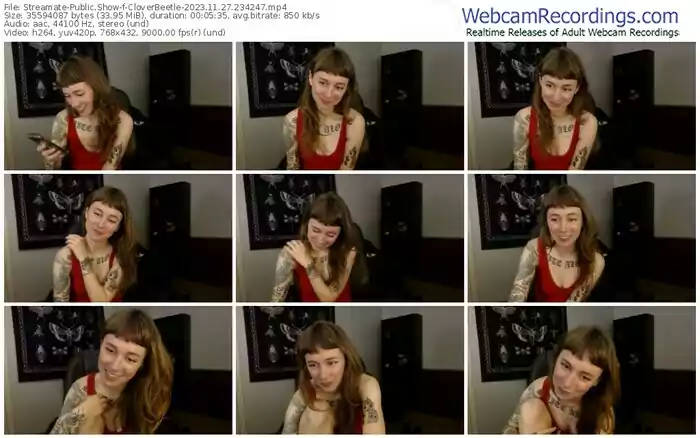 streamate-cloverbeetle-11-27-2023-23-42-47