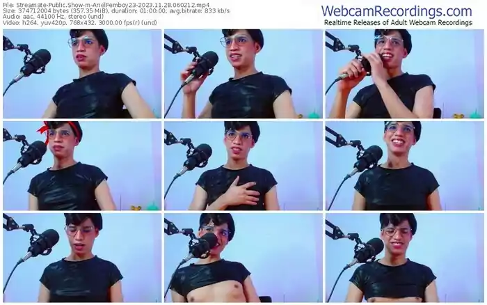 streamate-arielfemboy23-11-28-2023-06-02-12