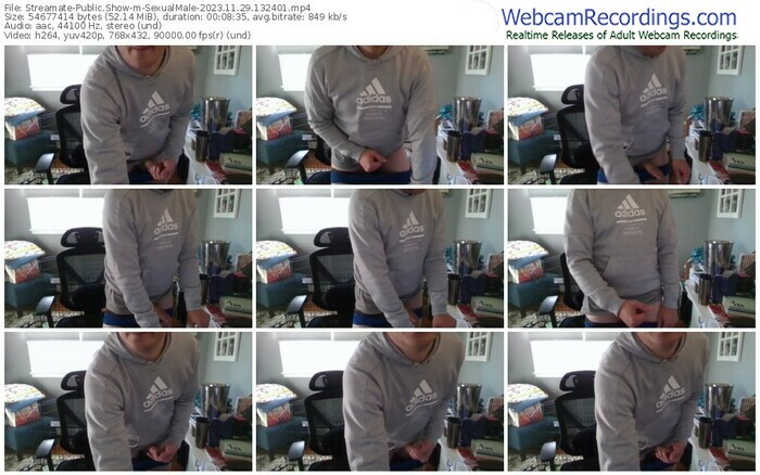 streamate-sexualmale-11-29-2023-13-24-01