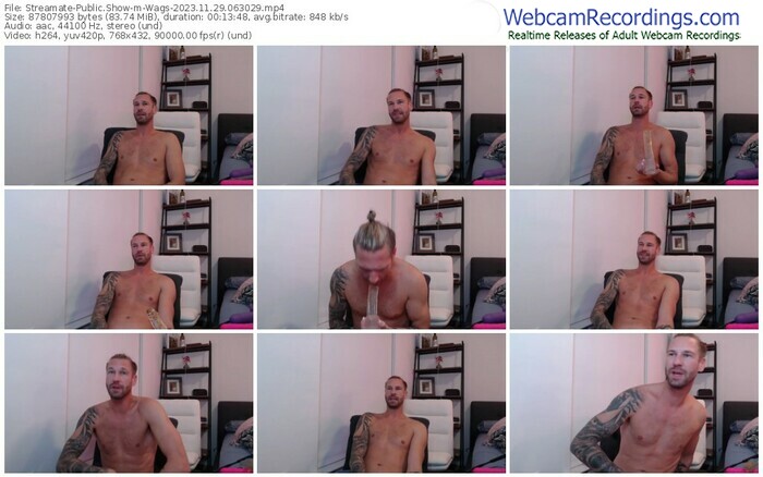 streamate-wags-11-29-2023-06-30-29