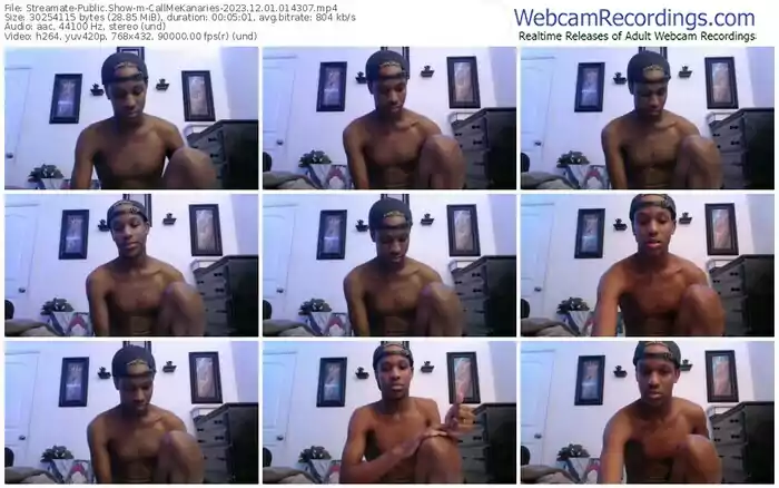 streamate-callmekanaries-12-01-2023-01-43-07